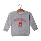 NEW GREY HARVARD H PRINTED SWEATSHIRT